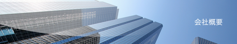 ここにはページタイトルが入ります