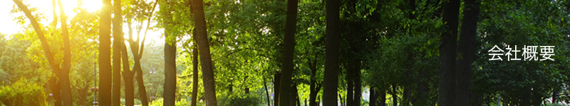 ここにはページタイトルが入ります