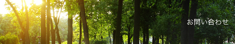 ここにはページタイトルが入ります