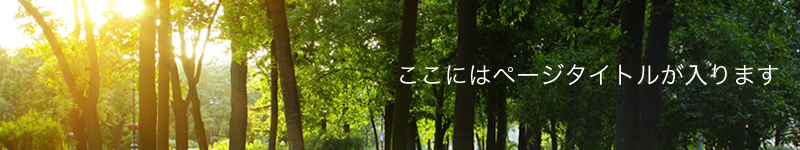 ここにはページタイトルが入ります