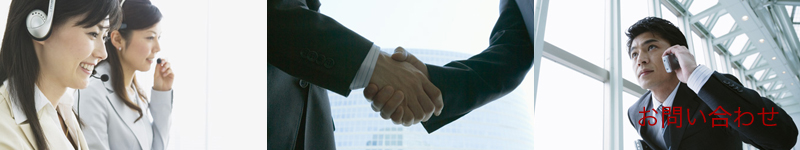 ここにはページタイトルが入ります