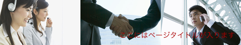 ここにはページタイトルが入ります